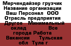 Мерчендайзер-грузчик › Название организации ­ Ваш Персонал, ООО › Отрасль предприятия ­ Другое › Минимальный оклад ­ 40 000 - Все города Работа » Вакансии   . Тульская обл.,Тула г.